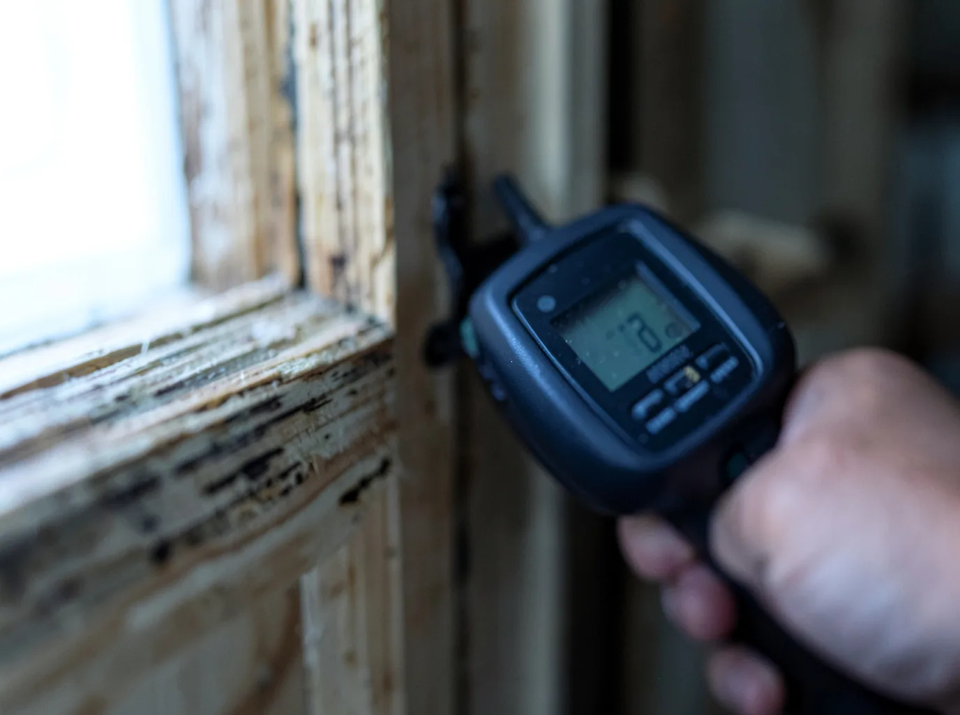 Moisture Inspection And Documentation in Cedar Grove, TN